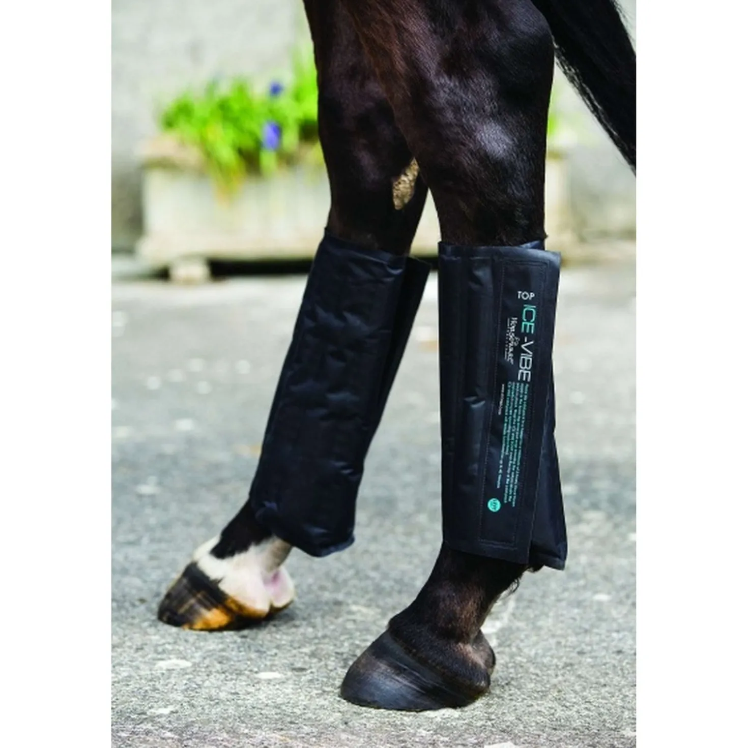 Ice-Vibe Cold Packs 2 Stuks Black
