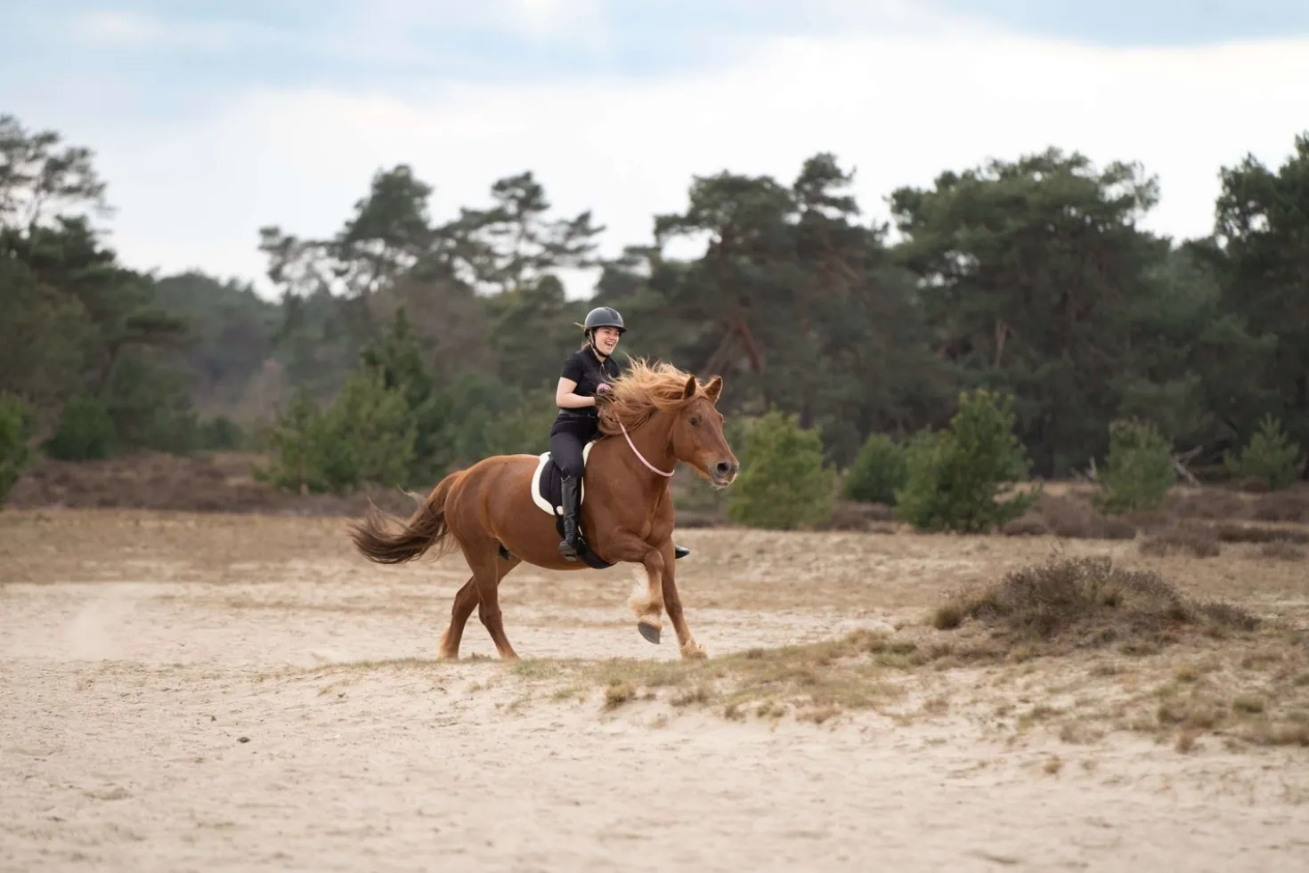 Imperial Riding Bareback Pad IRHFree Ride Zwart