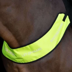 Imperial Riding Borsttuig IRHReflective Geel