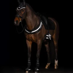 Imperial Riding Borsttuig IRHLuminous Zwart