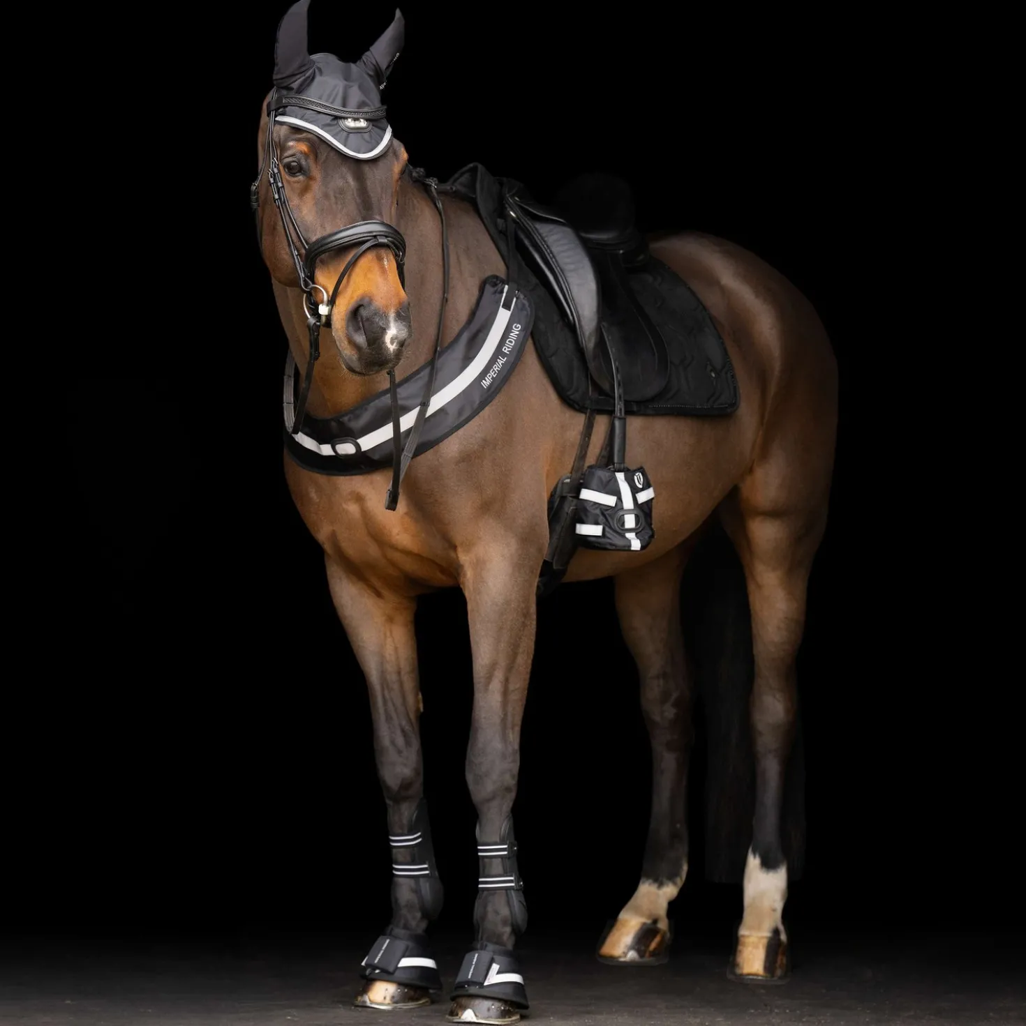 Imperial Riding Borsttuig IRHLuminous Zwart