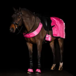 Imperial Riding Borsttuig IRHReflective Pink
