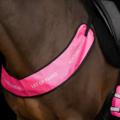Imperial Riding Borsttuig IRHReflective Pink