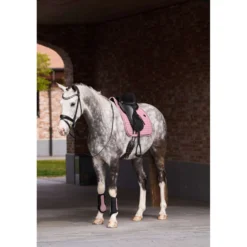Imperial Riding Dressage Boots IRHCloud Dancer Mauve