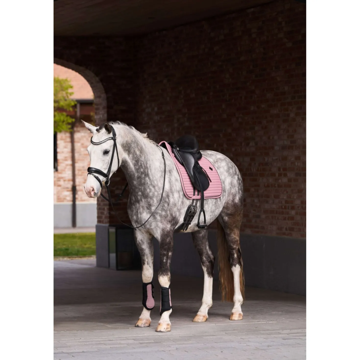 Imperial Riding Dressage Boots IRHCloud Dancer Mauve