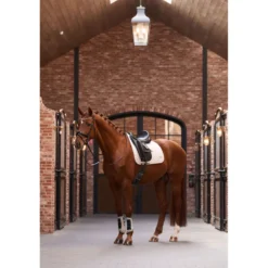 Imperial Riding Dressage Boots IRHCloud Dancer Taupe