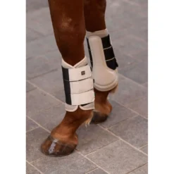 Imperial Riding Dressage Boots IRHCloud Dancer Taupe