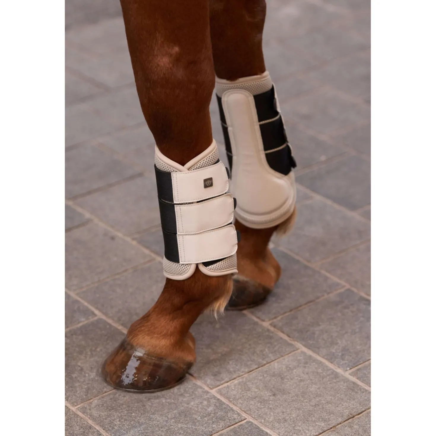 Imperial Riding Dressage Boots IRHCloud Dancer Taupe
