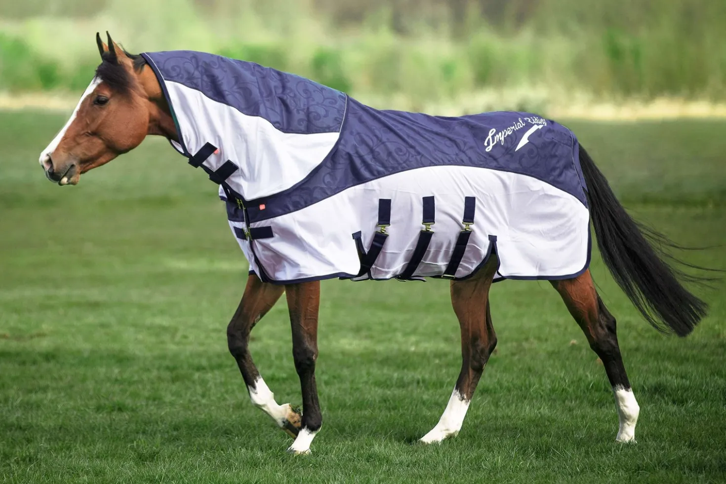 Imperial Riding Halsstuk IRHSuper-Dry Navy