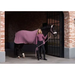 Imperial Riding Halster IRHJewel Mauve