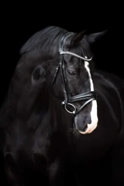 Imperial Riding Hoofdstel IRHFria Trens Zwart