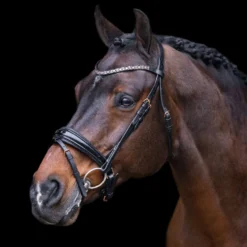 Imperial Riding Hoofdstel IRHOlympia Zwart/Rosegold