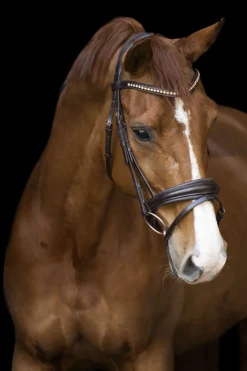 Imperial Riding Hoofdstel IRHFria Trens Bruin