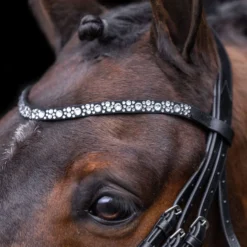 Imperial Riding Hoofdstel IRHOlympia Zwart/Zilver