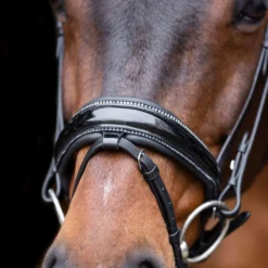 Imperial Riding Hoofdstel IRHOlympia Zwart/Zilver
