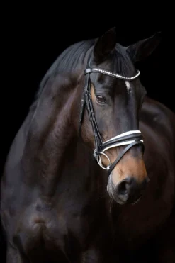 Imperial Riding Hoofdstel IRHFria Trens Zwart/Wit
