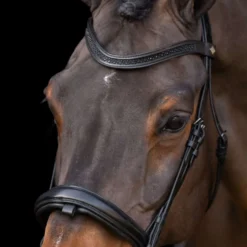 Imperial Riding Hoofdstel IRH Zwart/Zwart