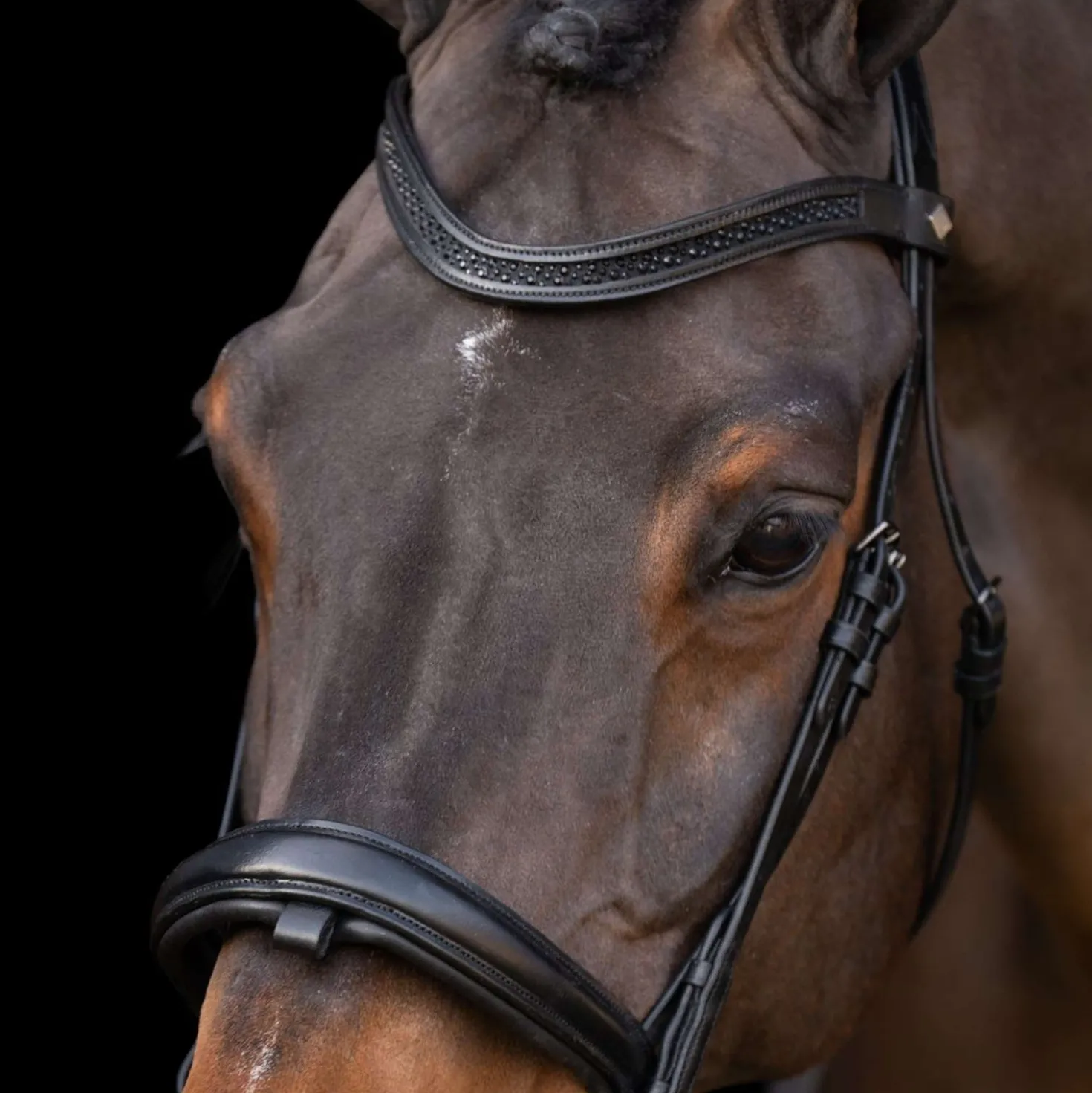 Imperial Riding Hoofdstel IRH Zwart/Zwart