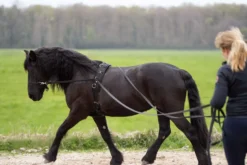 Imperial Riding Lange Lijnen IRHFree Ride Zwart