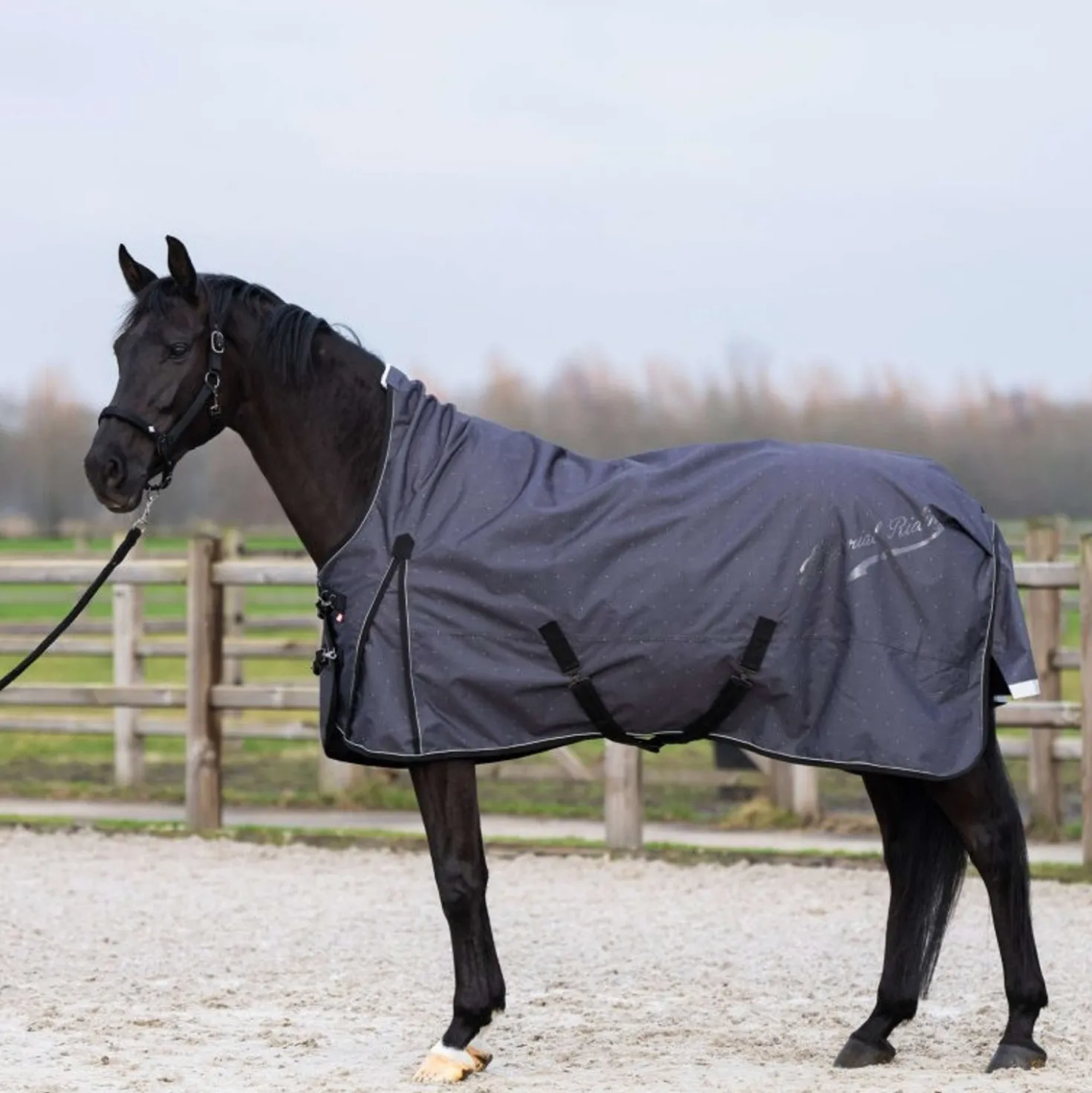 Imperial Riding Outdoordeken IRHSuper-dry AOP 0g Grijs