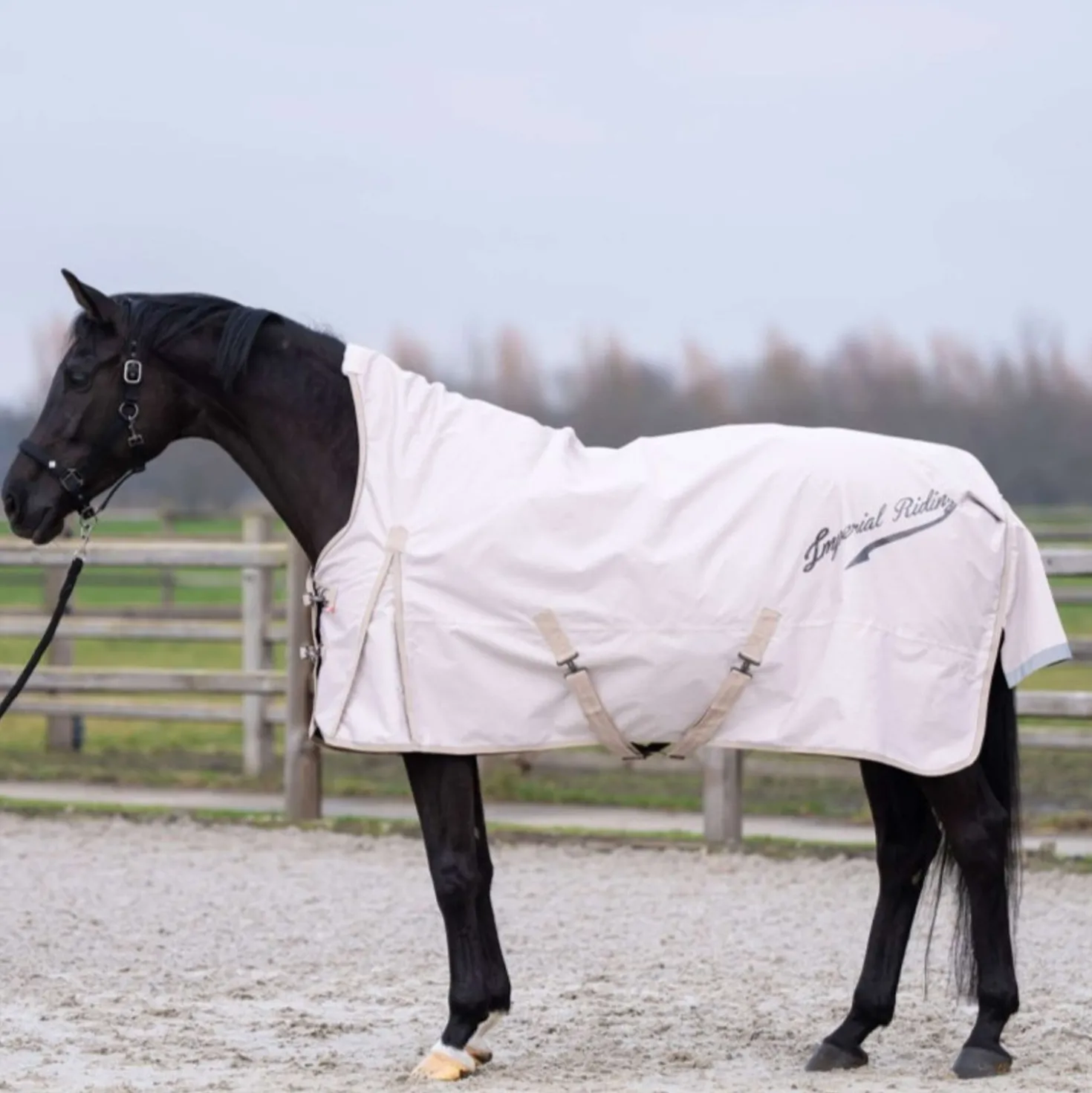 Imperial Riding Outdoordeken IRHSuper-dry AOP 100g Taupe