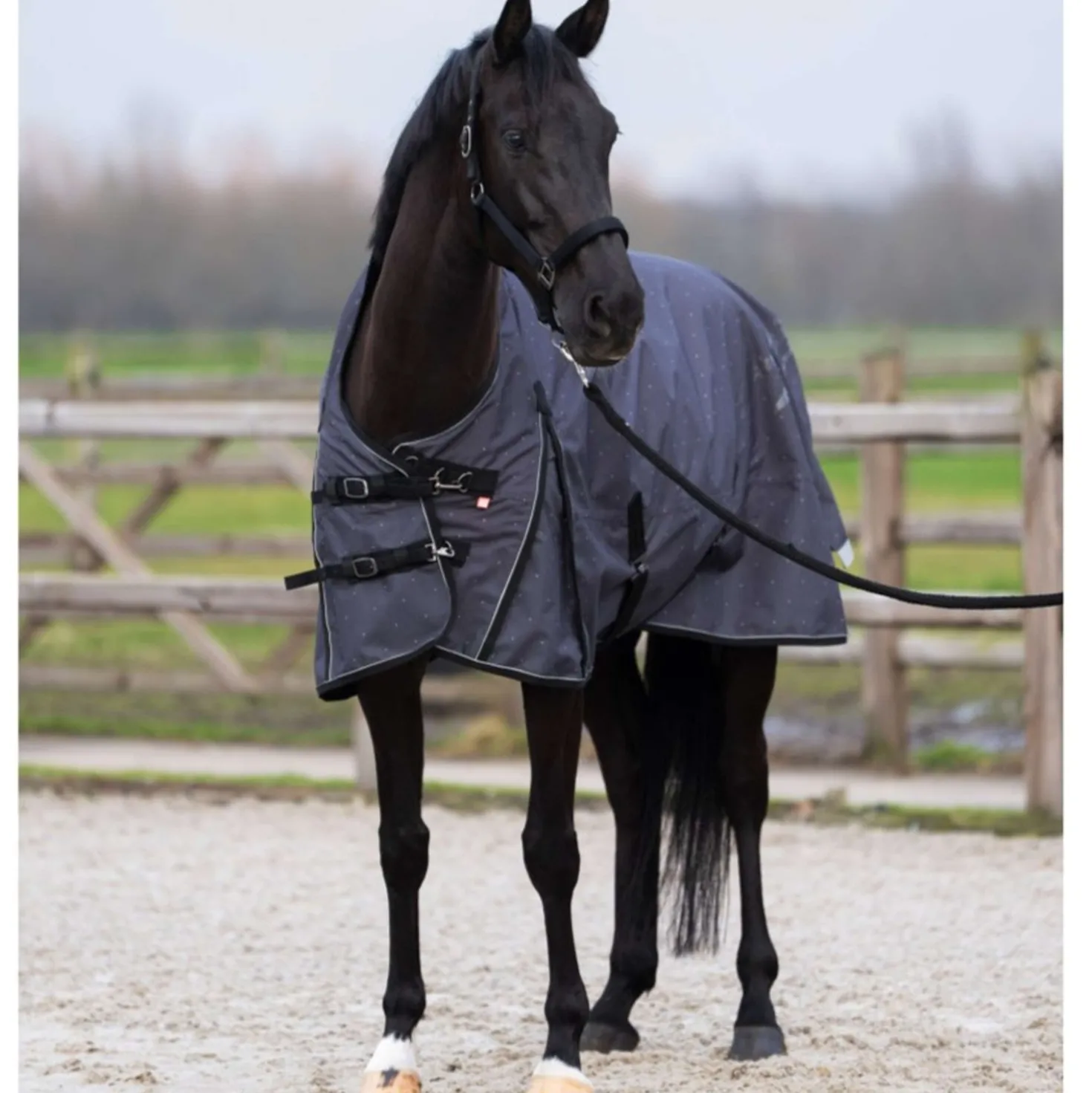 Imperial Riding Outdoordeken IRHSuper-dry AOP 100g Grijs