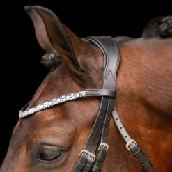 Imperial Riding Stang- en Trenshoofdstel IRHOlympia Zwart/Wit