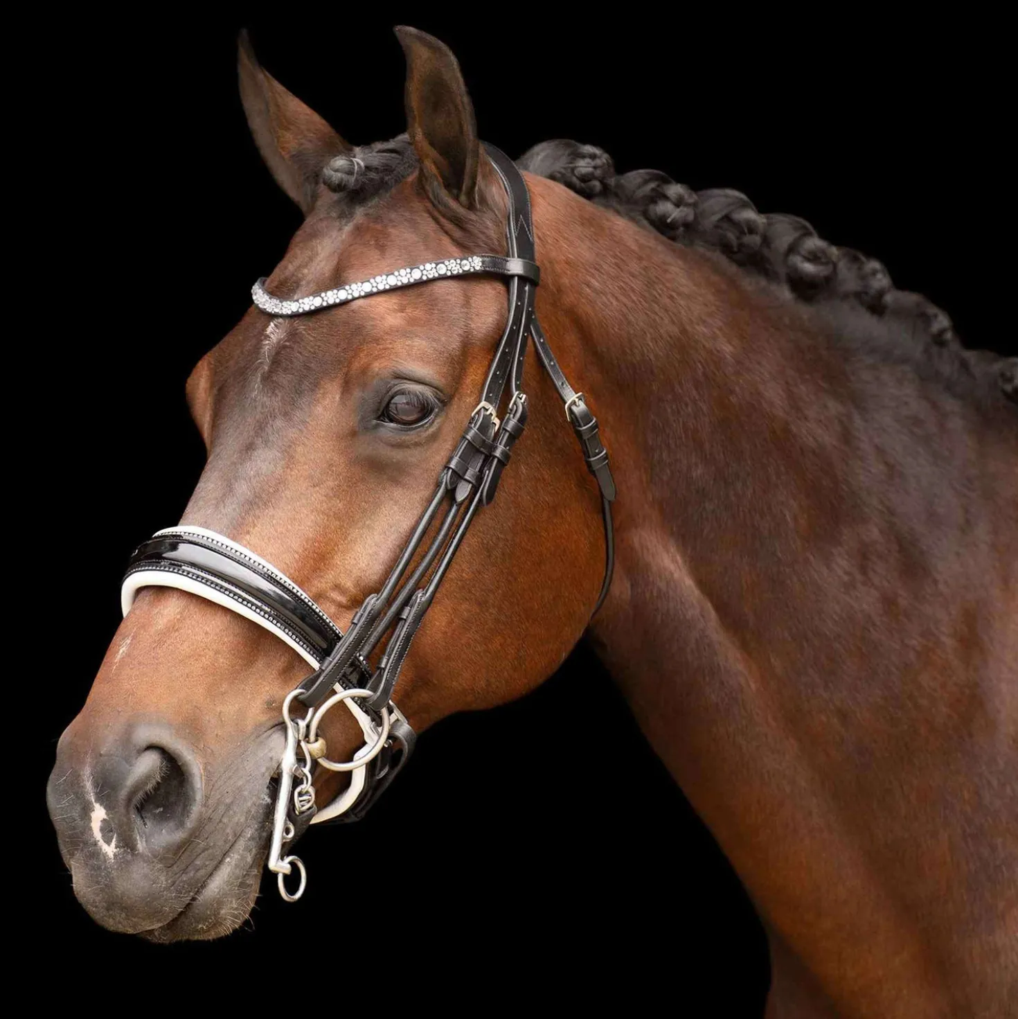 Imperial Riding Stang- en Trenshoofdstel IRHOlympia Zwart/Wit
