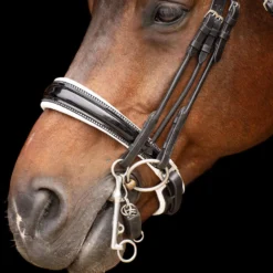 Imperial Riding Stang- en Trenshoofdstel IRHOlympia Zwart/Wit