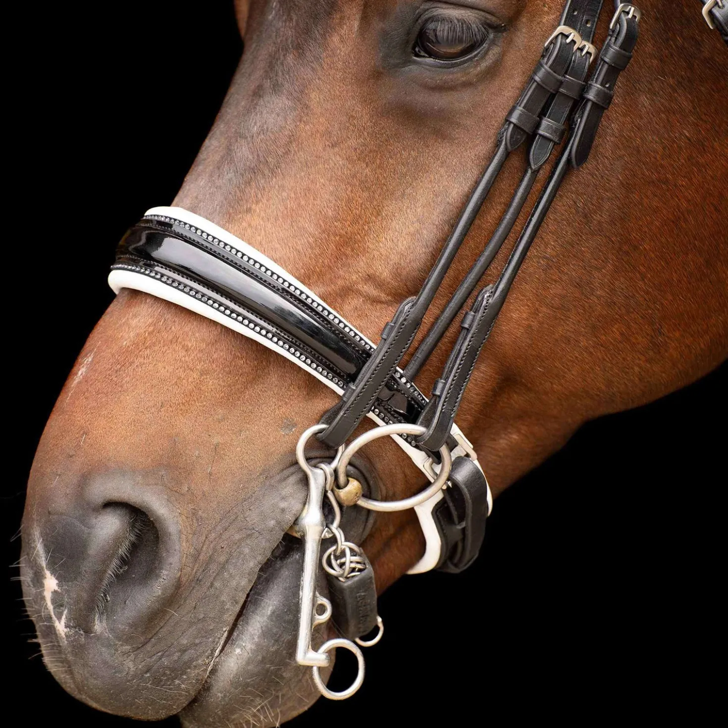 Imperial Riding Stang- en Trenshoofdstel IRHOlympia Zwart/Wit