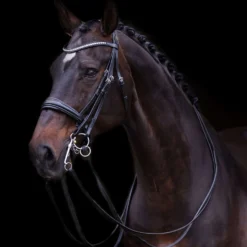 Imperial Riding Stang- en Trenshoofdstel IRHFria Zwart