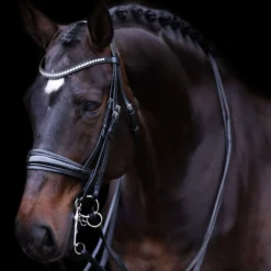 Imperial Riding Stang- en Trenshoofdstel IRHFria Zwart