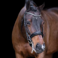 Imperial Riding Stang- en Trenshoofdstel IRHAthena Zwart