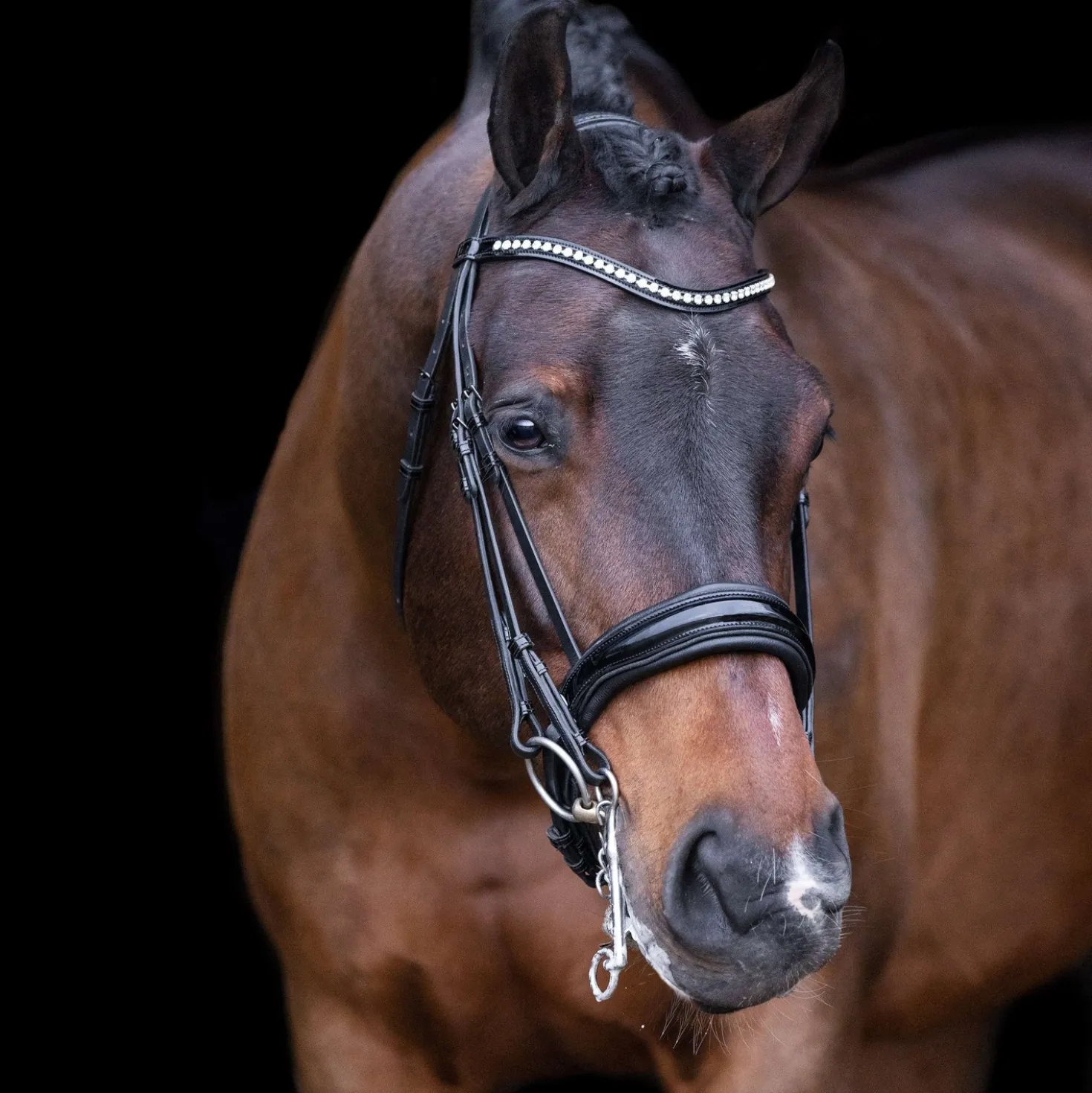 Imperial Riding Stang- en Trenshoofdstel IRHAthena Zwart