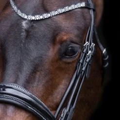 Imperial Riding Stang- en Trenshoofdstel IRHOlympia Zwart/Zilver