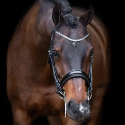 Imperial Riding Stang- en Trenshoofdstel IRHOlympia Zwart/Zilver