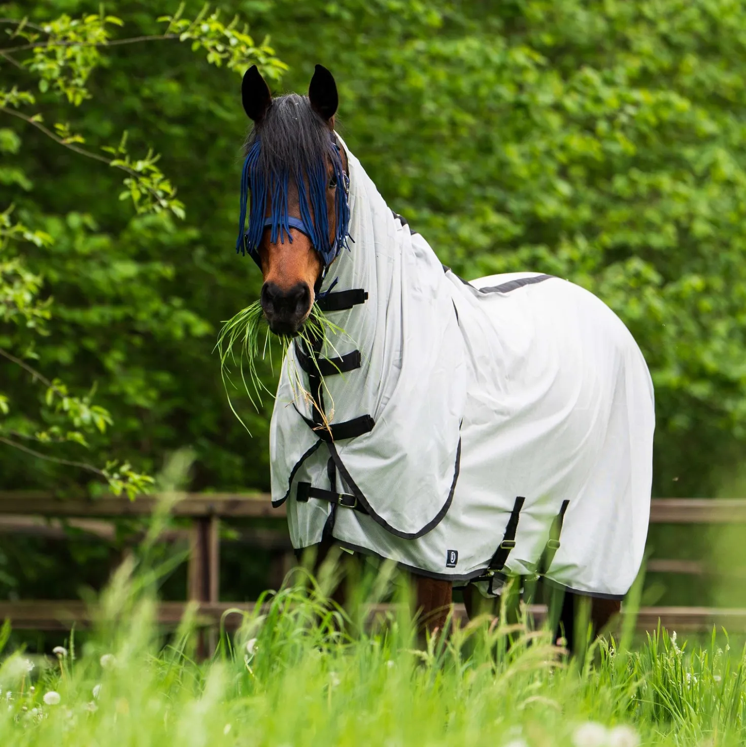 Imperial Riding Vliegendeken IRHReese Zilvergrijs