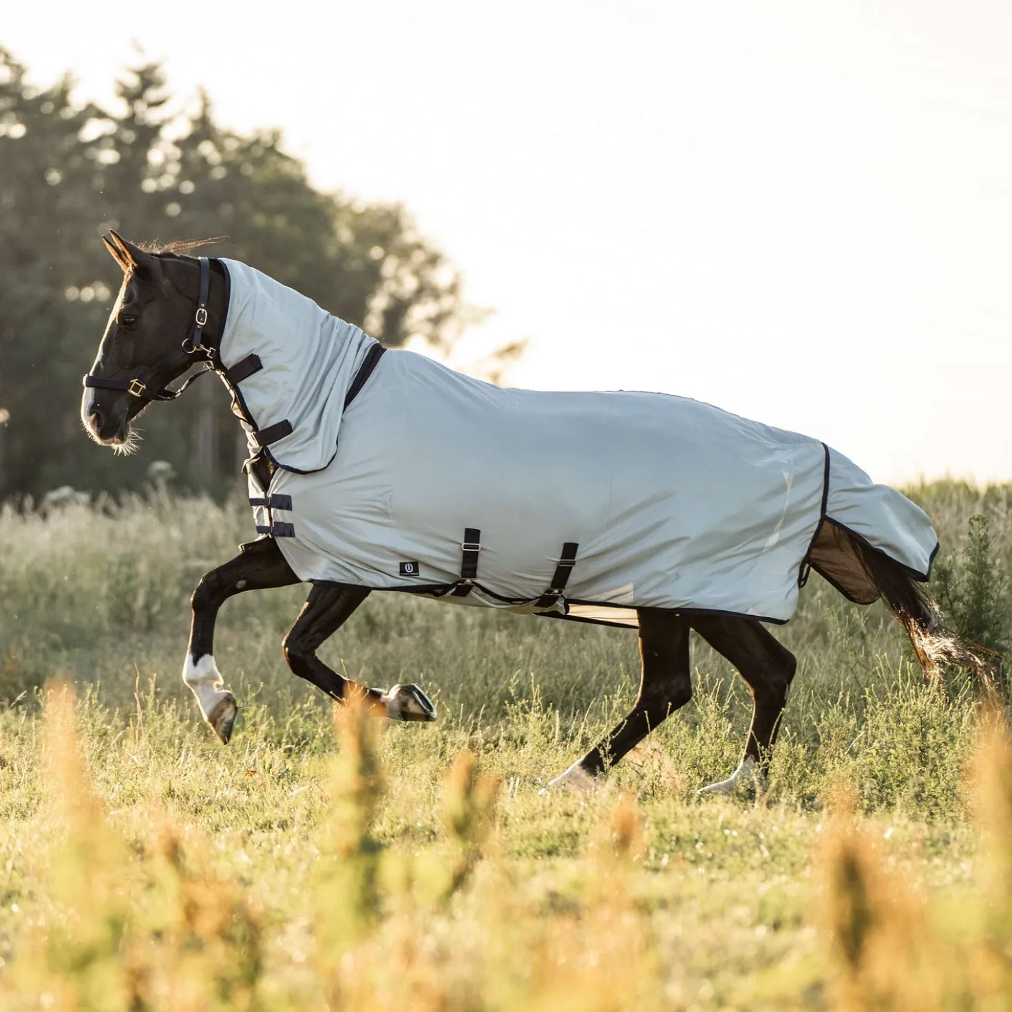 Imperial Riding Vliegendeken IRHReese Zilvergrijs