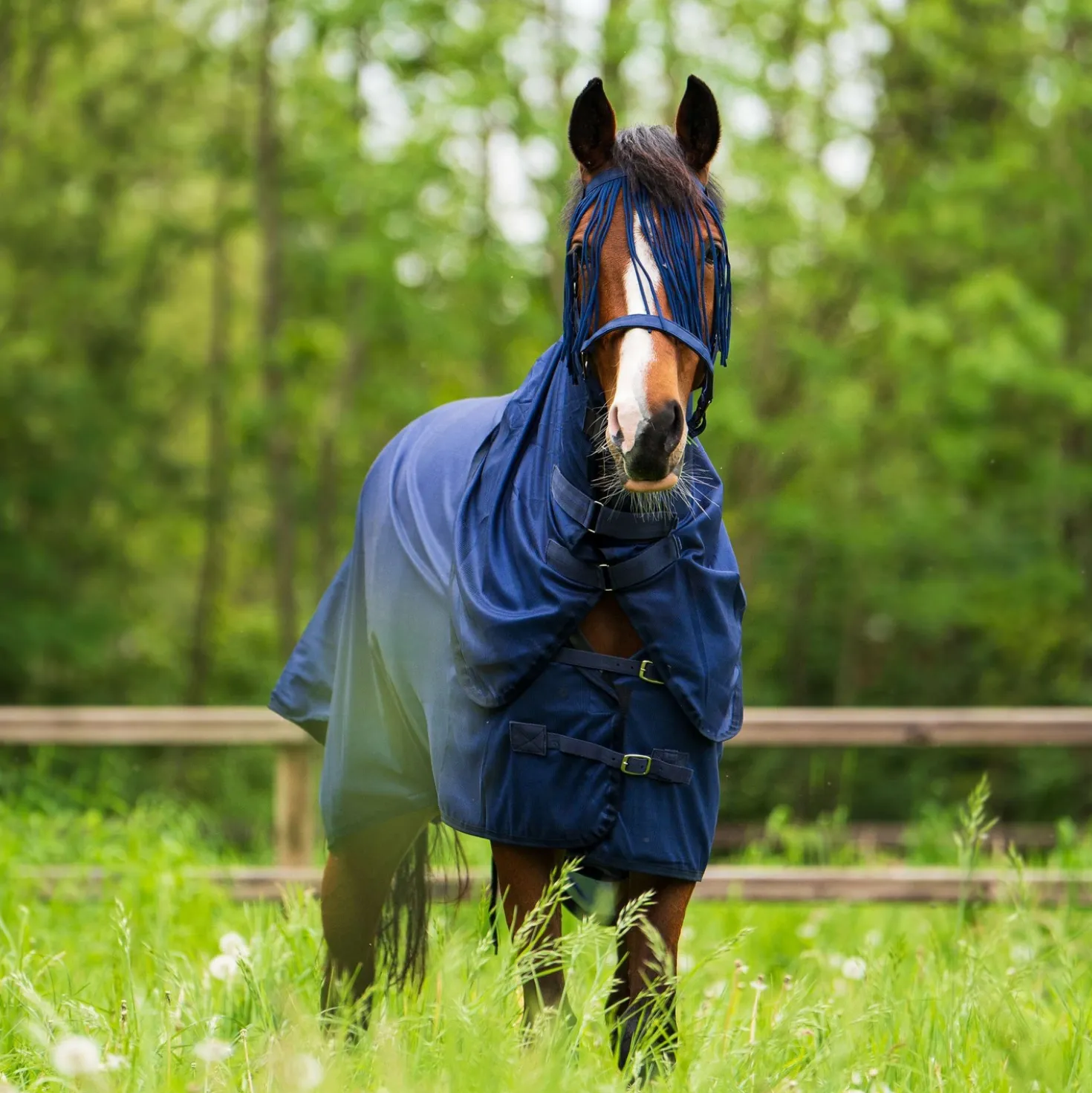 Imperial Riding Vliegendeken IRHReese Navy