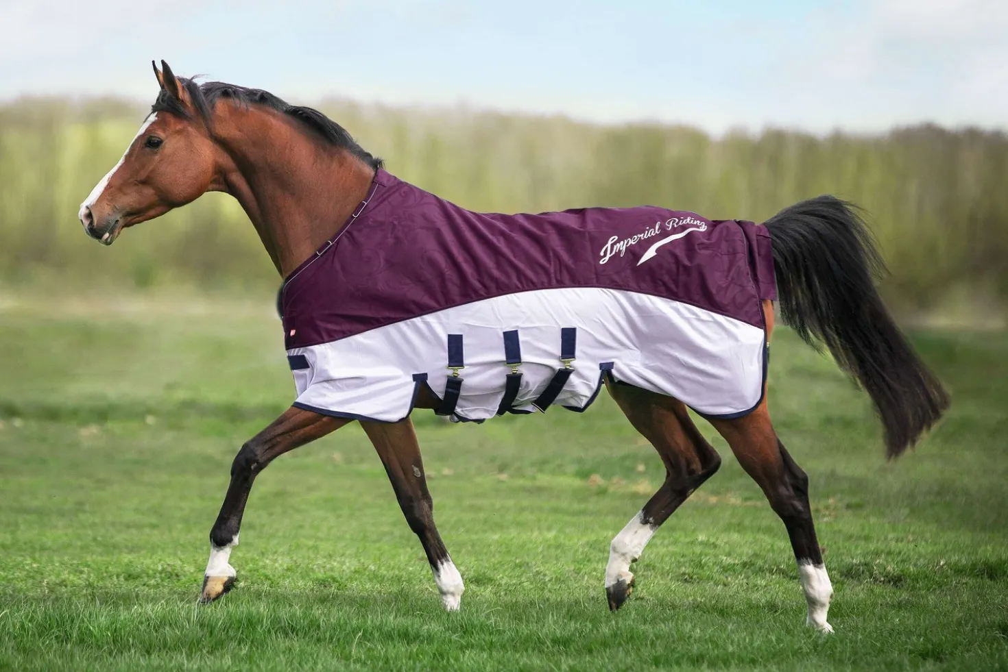 Imperial Riding Vliegen- en Regendeken IRHSuper-Dry Bordeaux