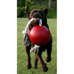 Jolly Ball Romp-n-Roll Baby Blauw
