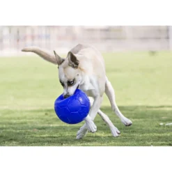 Jolly Ball Soccer Ball Oceaan Blauw