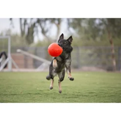 Jolly Ball Soccer Ball Rood