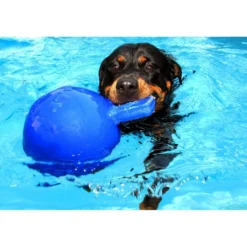 Jolly Ball Tug-n-Toss Blauw