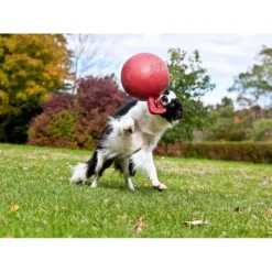 Jolly Ball Tug-n-Toss Blauw