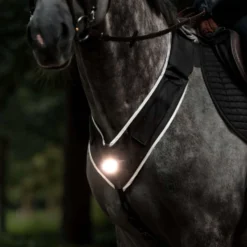 Kavalkade Borsttuig Horselight Zwart/Grijs
