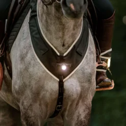 Kavalkade Borsttuig Horselight Zwart/Grijs
