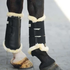 Kavalkade Dressage Boots Show Zwart