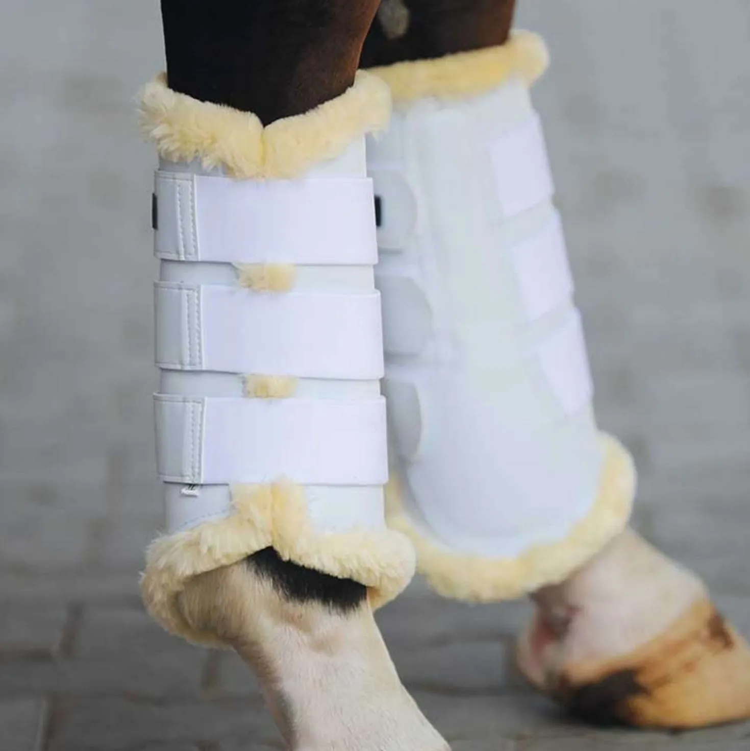 Kavalkade Dressage Boots Show Kunstleder Wit