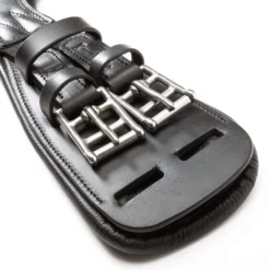 Kavalkade Dressuursingel Casper Oiled Leather met Elastiek Zwart